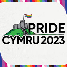 image and link to our Pride Cymru 2022 pictures.